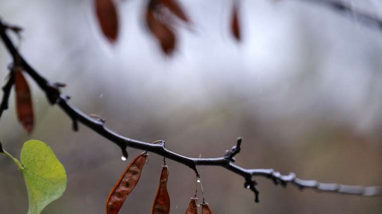 Αίθριος καιρός σήμερα με μικρή πτώση θερμοκρασία - Πού θα σημειωθούν τοπικές βροχές
