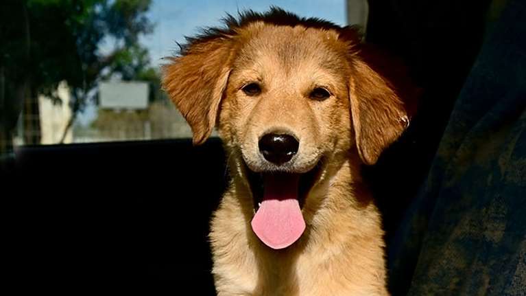 Ο Μάιλο είναι ο μόνος τρόπος να σταματήσετε να τρώτε βράδυ