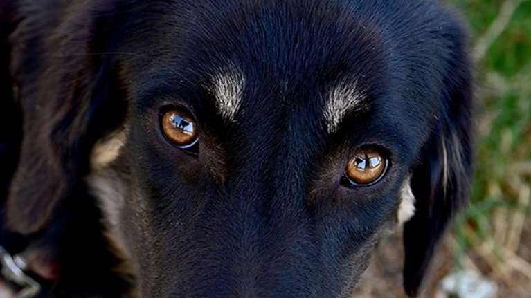 Σάντυ: Εγώ την ελπίδα μου δεν την χάνω... Κάποιος, κάποτε θα ρωτήσει και για μένα