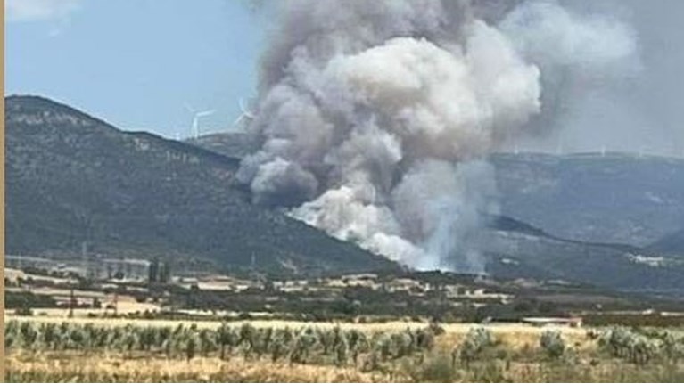 ροδοπη