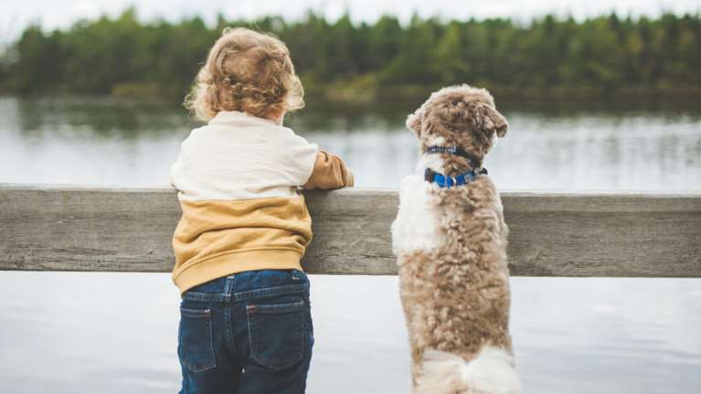 Διδάσκοντας στα παιδιά να αγαπούν και να σέβονται τα ζώα - Ο ρόλος του γονιού