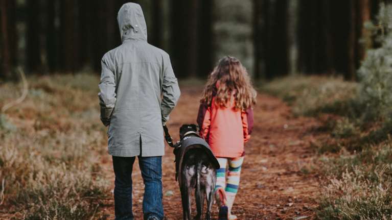 Ηλιόλουστη η Κυριακή, στους 19 βαθμούς η θερμοκρασία σε Αττική, Δωδεκάνησα και Κρήτη - Βροχές στα δυτικά τη Δευτέρα