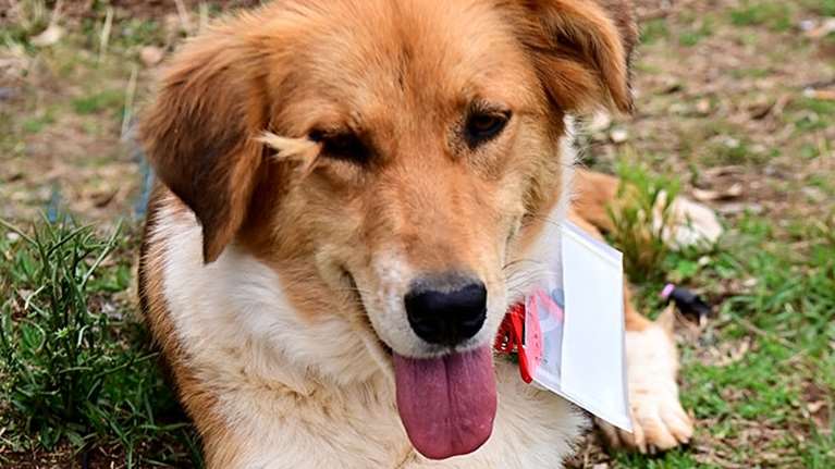 Η Πέγκυ με το χαρακτηριστικό τσουλουφάκι στο ένα της μάτι:  Λοιπόν, θα σας τα πούμε όλα για αυτήν