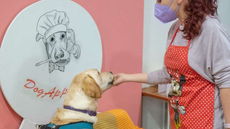 Ζαχαροπλαστείο για σκύλους φτιάχνει λαχταριστές τούρτες, cupcakes και λιχουδιές για τετράποδα με... απαιτητικό ουρανίσκο [εικόνες]