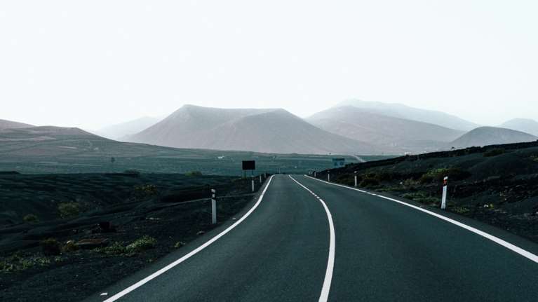 Ποιο ζώο θα κυριαρχήσει στον πλανήτη, αν εξαφανιστεί η ανθρωπότητα - Τι λένε οι επιστήμονες