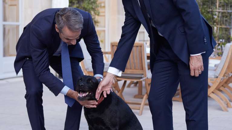 Ψάχνοντας τον Nemo στο Ελιζέ: Όταν ο Μητσοτάκης συνάντησε τον σκύλο του Μακρόν [εικόνες - βίντεο]