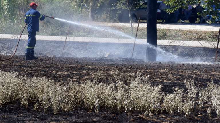 Φωτιά στο Σουφλί: Ξέσπασε μόλις 300 μέτρα από οικισμό - Οι άνεμοι "έσωσαν" τα σπίτια