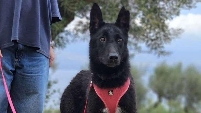 Τη Μπέττυ κανείς δεν την αγάπησε ποτέ, κανείς δεν τη βοήθησε, ούτε στο ελάχιστο