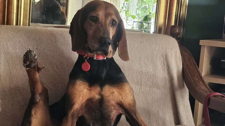 Η Ευτυχία σε μπαλετική πρόβα - Απολαμβάνει την πολυθρόνα της, το μαλακό κρεβάτι και την ασφάλεια του σπιτιού