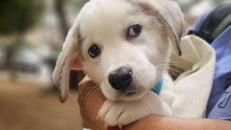 Ο Ντέμης βρέθηκε νεογέννητος σε μια σακούλα σκουπιδιών μαζί με τα αδέρφια του - Τους αξίζει;