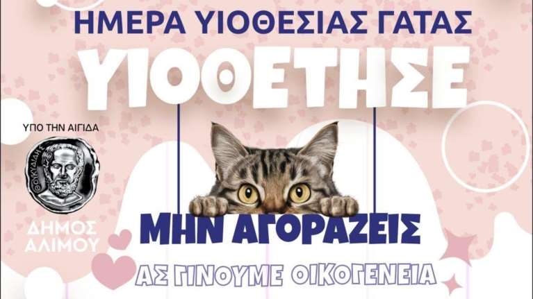 Ημέρα Υιοθεσίας Γάτας: Ανοίγουμε την αγκαλιά μας και την οικογένειά μας για ένα αδέσποτο ζώο