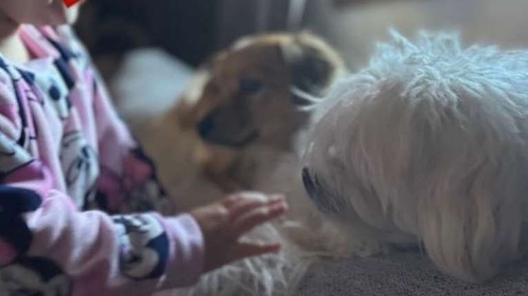 &quot;Το 24 βάλθηκε να σημαδέψει το μέσα μου με πένθος και πόνο&quot; - Οδυνηρός αποχαιρετισμός για την Ιωάννα Μαλέσκου