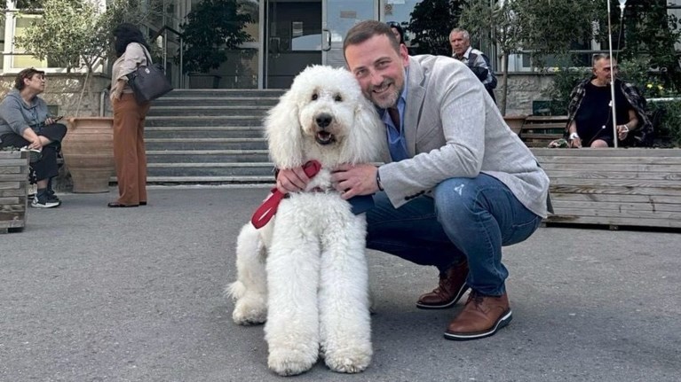 γεννηματας