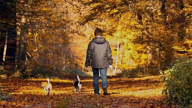 Θέλετε ισχυρότερο ανοσοποιητικό και καλύτερη ψυχική υγεία; Βγείτε μια βόλτα στο πάρκο