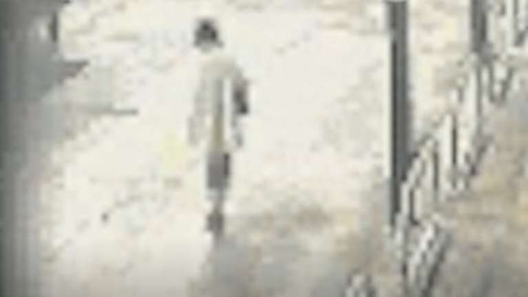 Υπόθεση βιασμού: Βίντεο ντοκουμέντο δείχνει τη Γεωργία Μπίκα να παραπατάει μετά το πάρτι στη σουίτα