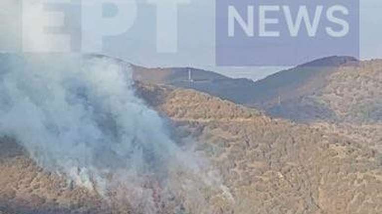 Φωτιά στην Καστοριά: Ισχυρές δυνάμεις της Πυροσβεστικής στην Κλεισούρα