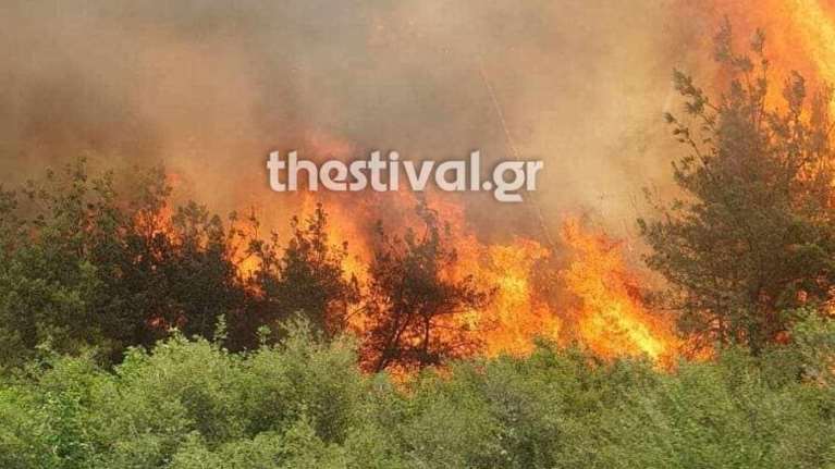 Φωτιά σε δασική έκταση στη Βόλβη - Μήνυμα 112 στους κατοίκους να είναι σε ετοιμότητα [εικόνες]