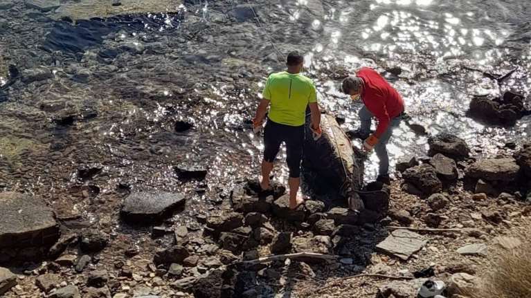 Νεκρή φώκια σε ακτή του Βόλου – Καρέ καρέ η επιχείρηση απομάκρυνσης [εικόνες]