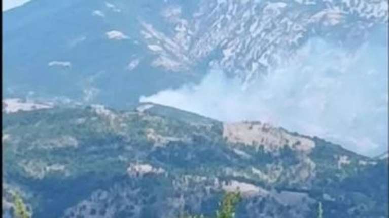 Φωτιά σε δυσπρόσιτο σημείο στη Μελίταινα Ροδόπης - Σηκώθηκαν 4 εναέρια μέσα