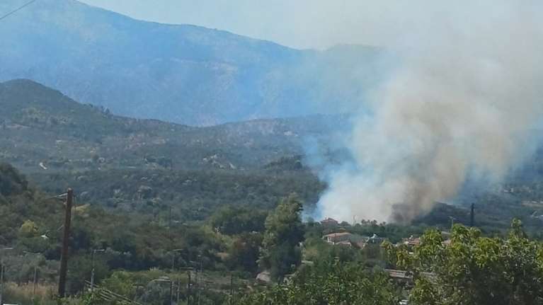 Φωτιά τώρα στην Άνω Επίδαυρο: Καίει σε χαράδρα - Στη μάχη 65 πυροσβέστες και έξι εναέρια μέσα