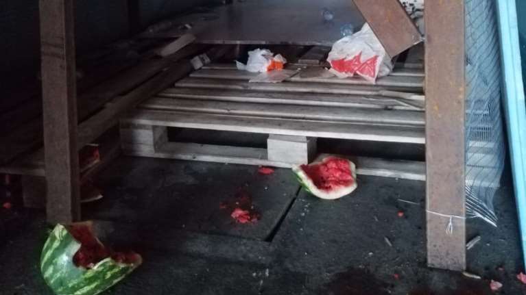 Μετέφεραν μετανάστες σε φορτηγό με καρπούζια - Χτύπημα σε κύκλωμα διακίνησης [Εικόνες - Βίντεο]