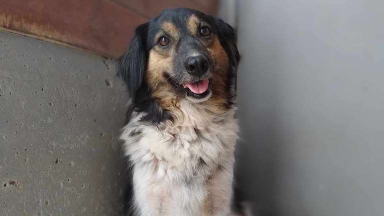 Η Λόις είναι σαν πιγκουίνος που έχει ντυθεί κλόουν - Όσο πιο πολύ αγχωμένη είναι, τόσο πιο πολύ χαμογελάει