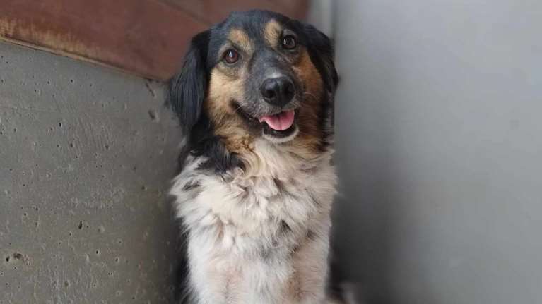 Αυτή είναι η Λόις: Όσο πιο πολύ αγχωμένη είναι, τόσο πιο πολύ χαμογελάει - Μαθαίνει να συνυπάρχει χωρίς να φοβάται