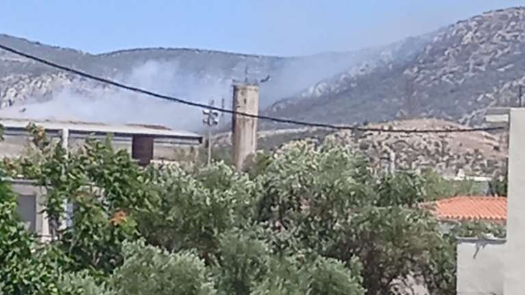 Φωτιά στον Ασπρόπυργο: Επ΄ αυτοφώρω σύλληψη για πρόκληση πυρκαγιάς από αμέλεια - Έκαιγε ξερόχορτα