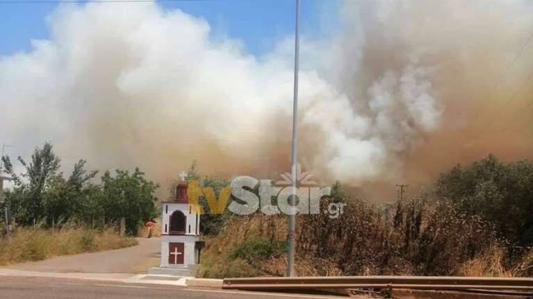 Φωτιά στη Φωκίδα: Καίγεται ο Ελαιώνας Άμφισσας - Στη μάχη 5 αεροσκάφη, 14 οχήματα και 47 πυροσβέστες