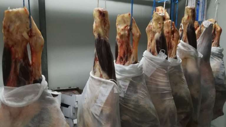 Σοκ: Κατάσχεση 7 τόνων ακατάλληλου κρέατος - Η επιχείρηση προμήθευε 50 νοσοκομεία