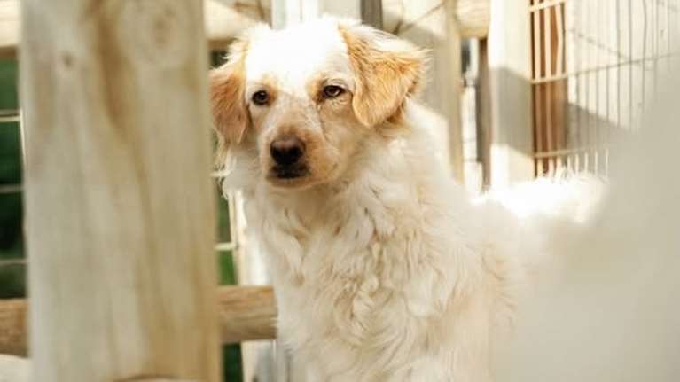 Κάθε πρωί η Φάντα λέει καλημέρα από τη γωνία της. Κοιτάει τη μέρα να περνάει χωρίς να συμμετέχει