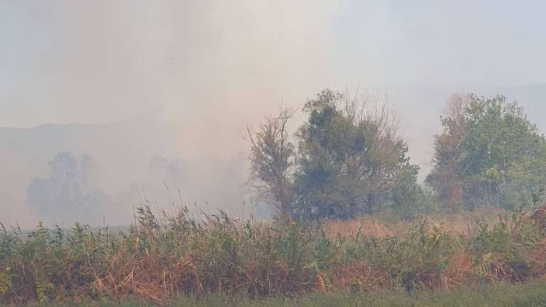 Φωτιά στο Κιλκίς: Μαίνεται πυρκαγιά στις Μουριές - Στη μάχη και αγρότες με τα τρακτέρ τους [εικόνες-βίντεο]