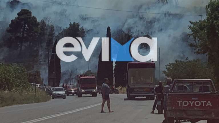 Φωτιά στο Αλιβέρι: Κοντά σε κατοικημένη περιοχή - Στη μάχη 10 πυροσβεστικά οχήματα, 1 ελικόπτερο και 2 αεροσκάφη