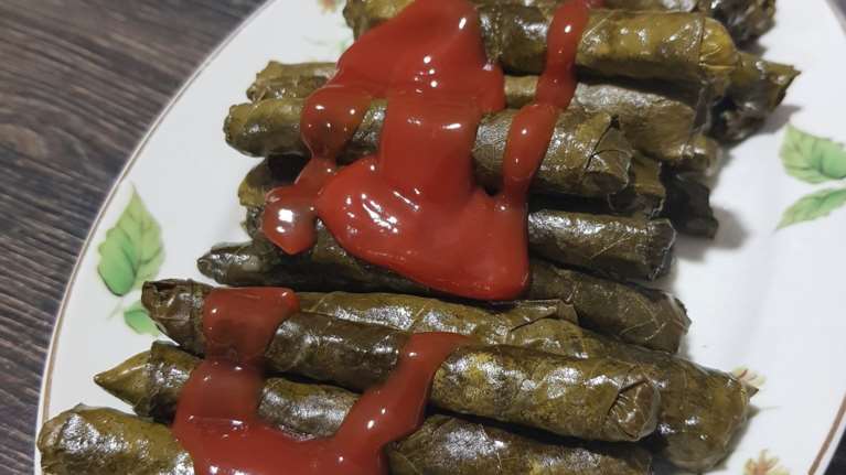 Η χιουμοριστική ανάρτηση Τούρκου διπλωμάτη για τα ελληνοτουρκικά: &quot;Όχι κέτσαπ στα ντολμαδάκια&quot;