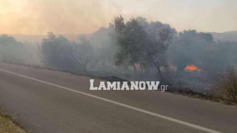 Φωτιά στη Λαμία: Άμεση η επέμβαση της Πυροσβεστικής