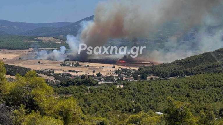 Νέα φωτιά στην Εύβοια: Μήνυμα 112 στους κατοίκους να είναι σε ετοιμότητα - Στη μάχη 120 πυροσβέστες και 14 εναέρια μέσα