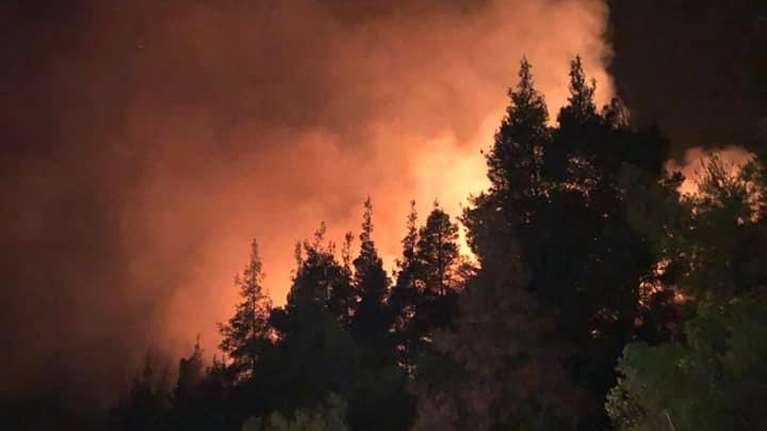 Χαλκιδική: Μεγάλη πυρκαγιά σε δάσος στη Σιθωνία - Συναγερμός στην πυροσβεστική [εικόνες]