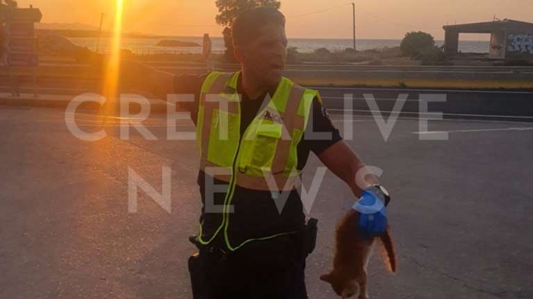 Αστυνομικός στην Κρήτη έσωσε γατάκι πριν το πατήσουν στον ΒΟΑΚ