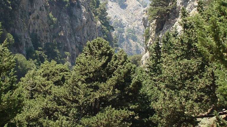 Χανιά: Επιχείρηση διάσωσης Νορβηγίδας τουρίστριας στο Φαράγγι της Αγίας Ειρήνης