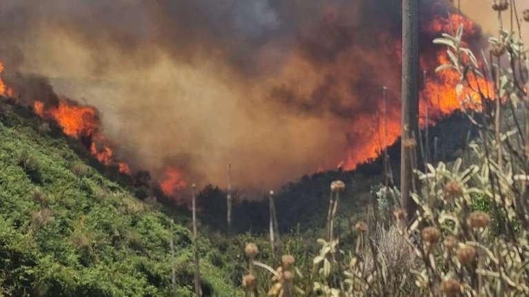 Ανεξέλεγκτες φωτιές στην Ηλεία: Μήνυμα 112 για να εκκενωθεί το Πηγάδι στον κάμπο - Μάχη να σωθούν σπίτια στον Άγναντα
