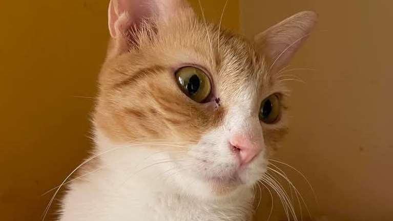 H Τέντι, έχει περάσει τόσα πολλά, αλλά δεν τα έχει αφήσει να την πάρουν από κάτω