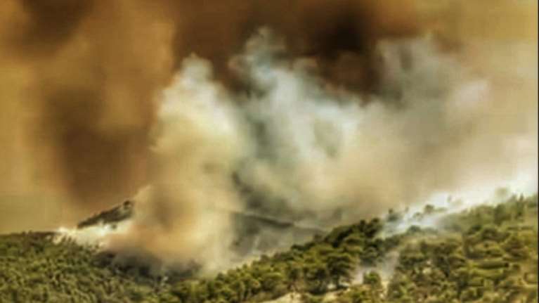 Φωτιά στην Αγιά Λάρισας - Στις φλόγες δασική έκταση, μεγάλη κινητοποίηση της Πυροσβεστικής