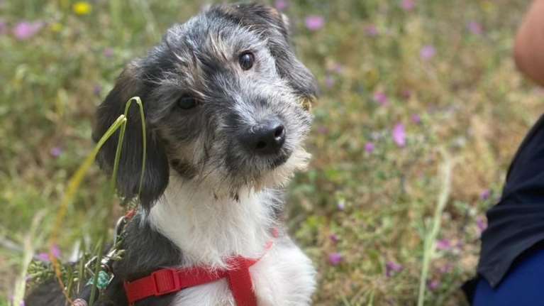 Η Μόνικα γεννήθηκε στον δρόμο - Aκόμα κι έτσι δεν υπήρξε ούτε μια στιγμή στη ζωή της που να μην ήταν χαριτωμένη