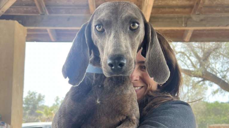 Δεν πάμε καθόλου καλά - Κοιτάξτε ένα πλάσμα που παράτησαν:  Το άφησαν να τρέμει κοκκαλιασμένο και σε πανικό