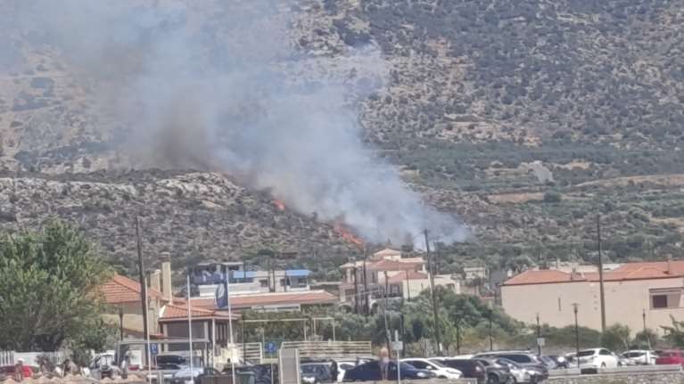 Φωτιά στη Λακωνία: Ισχυρές δυνάμεις της Πυροσβεστικής επιχειρούν στην περιοχή Πλύτρα