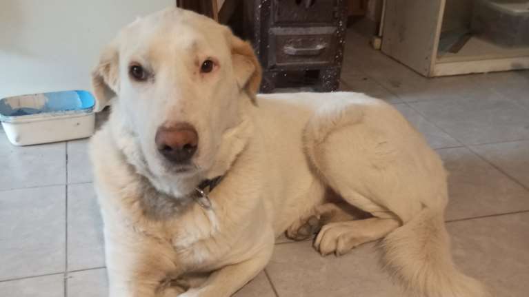 Αριέλα: Chic and Simple - Έχει μόνο φίλους - Βασικά έχει όλους τους φίλους - Μάλλον λάθος, τους έχει όλους φίλους