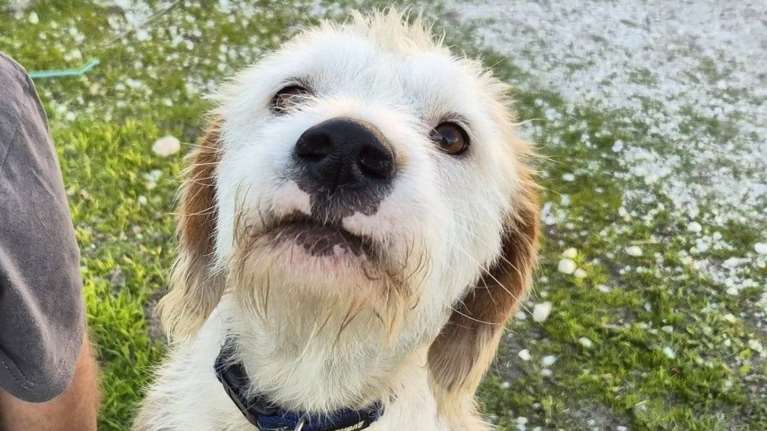 Η Αελίτα γέννησε εννιά μωρά σε μια από τις πιο δύσκολες περιοχές του Ασπροπύργου