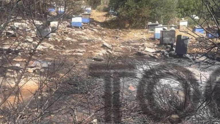Πολυτεχνειούπολη: Φωτογραφία ντοκουμέντο - Από αδήλωτα μελίσσια ξεκίνησε η φωτιά - Πρόστιμο και στον πρύτανη του ΕΚΠΑ