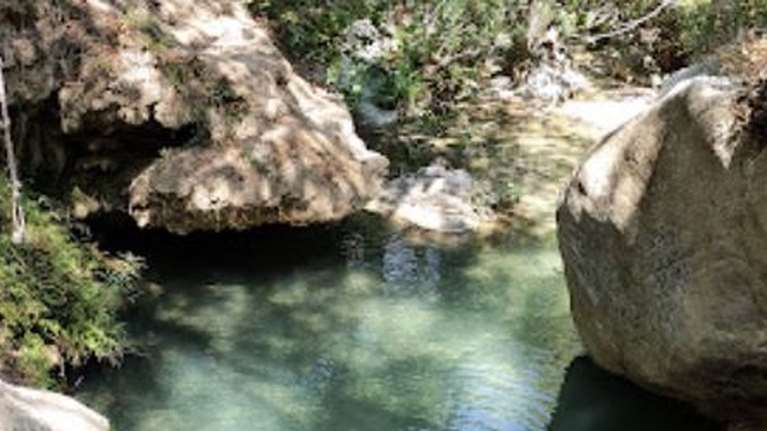 Τραγωδία στην Τροιζηνία: Σκοτώθηκε μικρό αγόρι στο Διαβολογέφυρο - Έπεσε πάνω του κλαδί δέντρου, του έγινε ανάνηψη