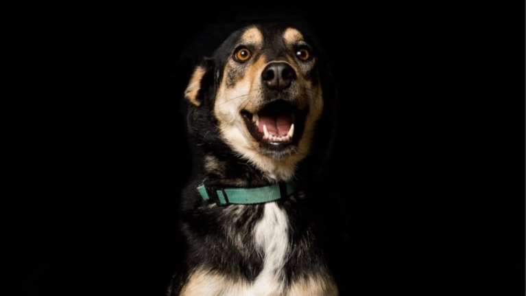 Η πρώτη και η τελευταία φορά που η Βίλμα μπήκε σε σπίτι